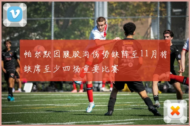 帕尔默因腹股沟伤势缺阵至11月将缺席至少四场重要比赛