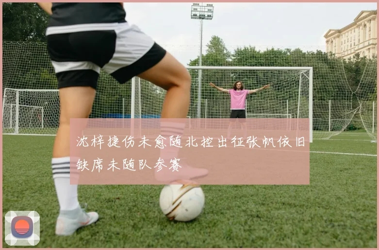 沈梓捷伤未愈随北控出征张帆依旧缺席未随队参赛