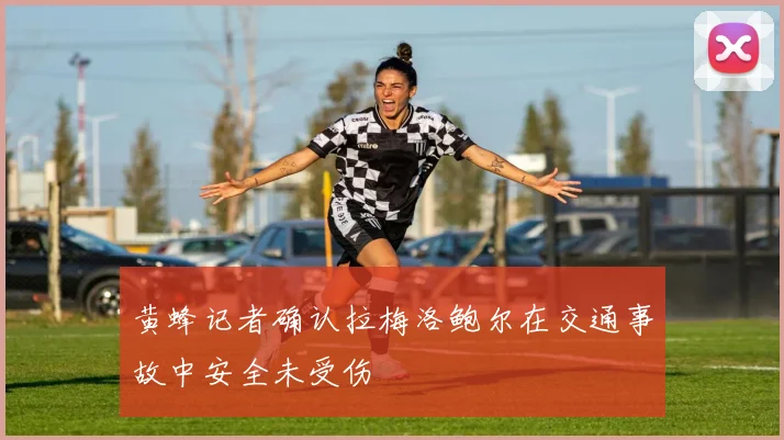 黄蜂记者确认拉梅洛鲍尔在交通事故中安全未受伤