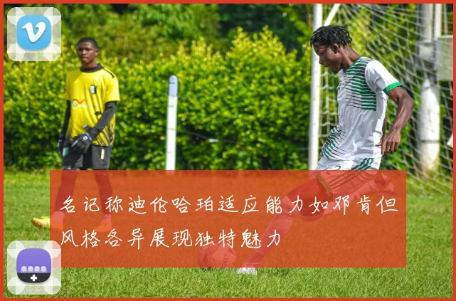 名记称迪伦哈珀适应能力如邓肯但风格各异展现独特魅力