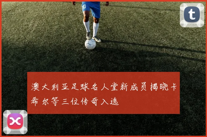 澳大利亚足球名人堂新成员揭晓卡希尔等三位传奇入选